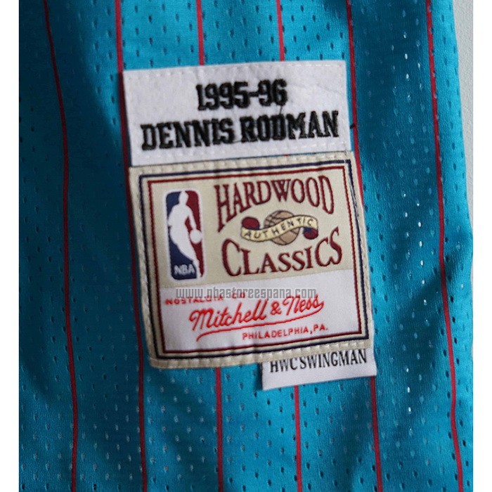 Camiseta Chicago Bulls Dennis Rodman NO 91 Mitchell & Ness 1995-96 Azul